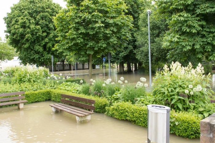 Sân vườn ngập nước