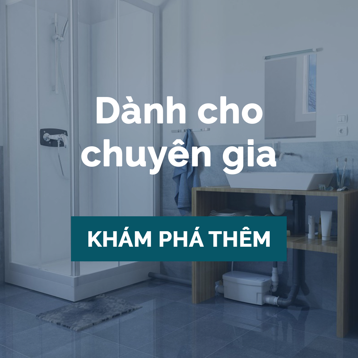 Không gian dành cho chuyên gia SFA